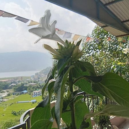 Gautam Garden Guest House Похара Екстериор снимка