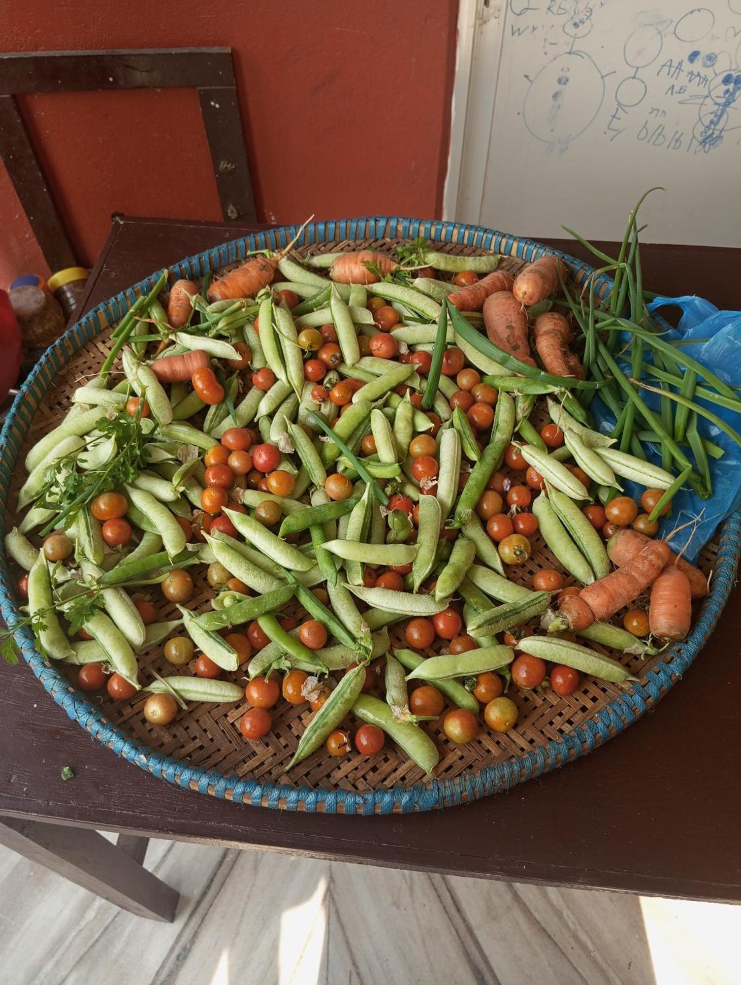 Gautam Garden Guest House Похара Екстериор снимка