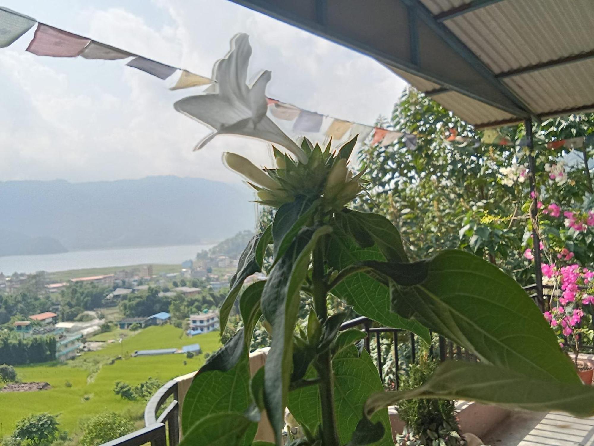 Gautam Garden Guest House Похара Екстериор снимка