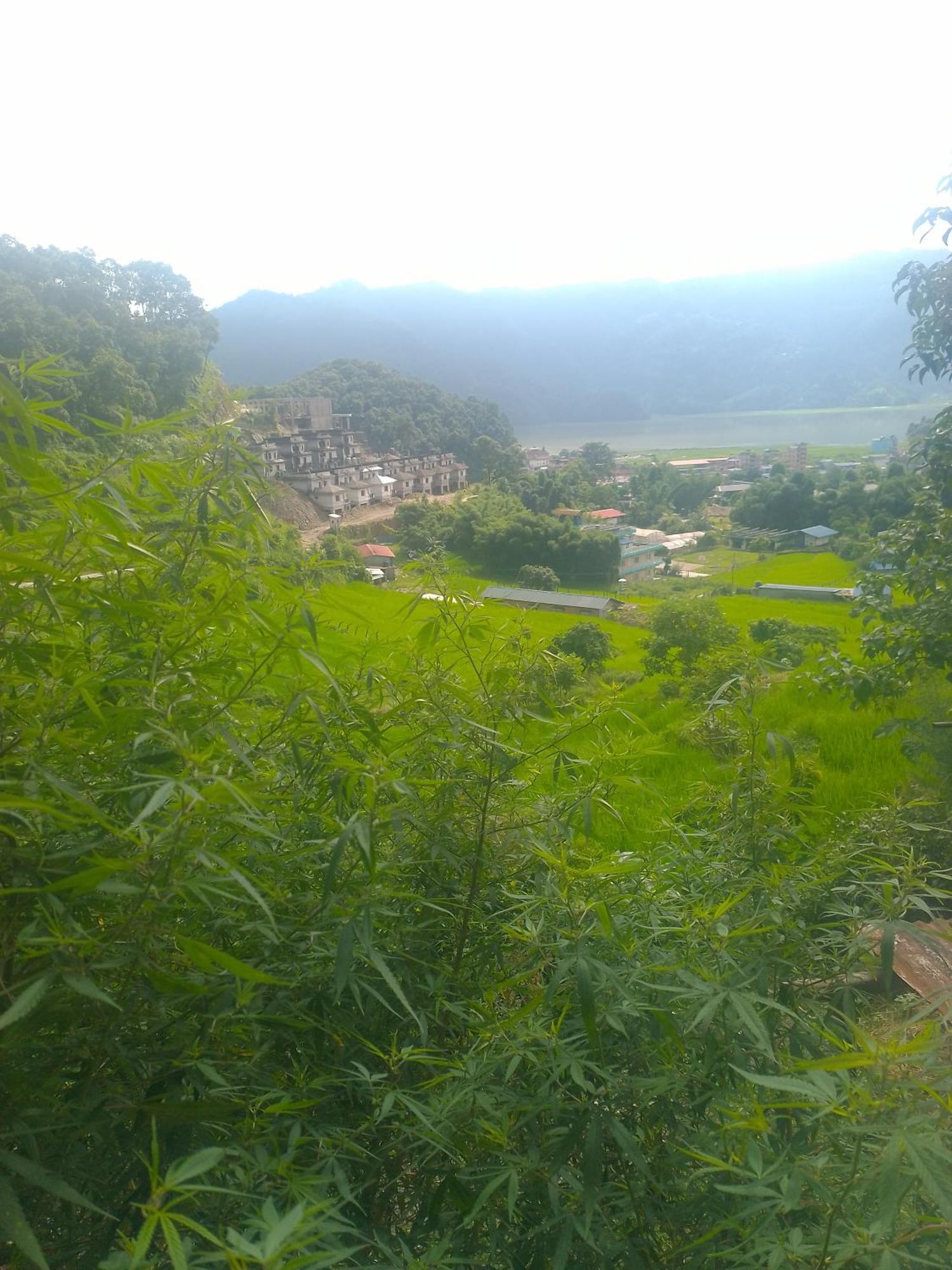 Gautam Garden Guest House Похара Екстериор снимка